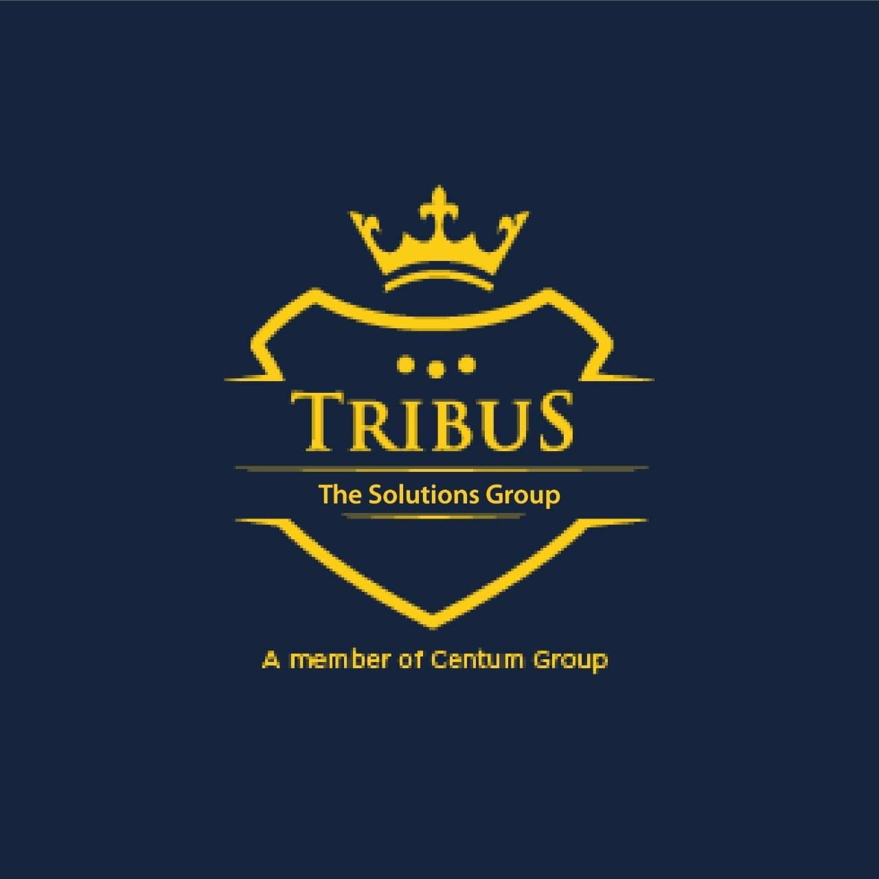 Tribus The Solution Group (TSG)